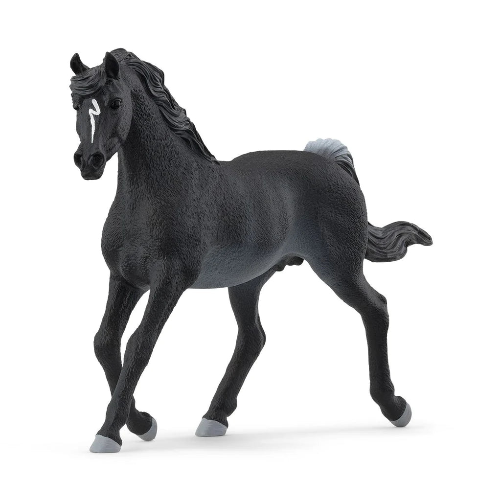 Schleich Horse Club Rabincano Arabian Stallion 13981