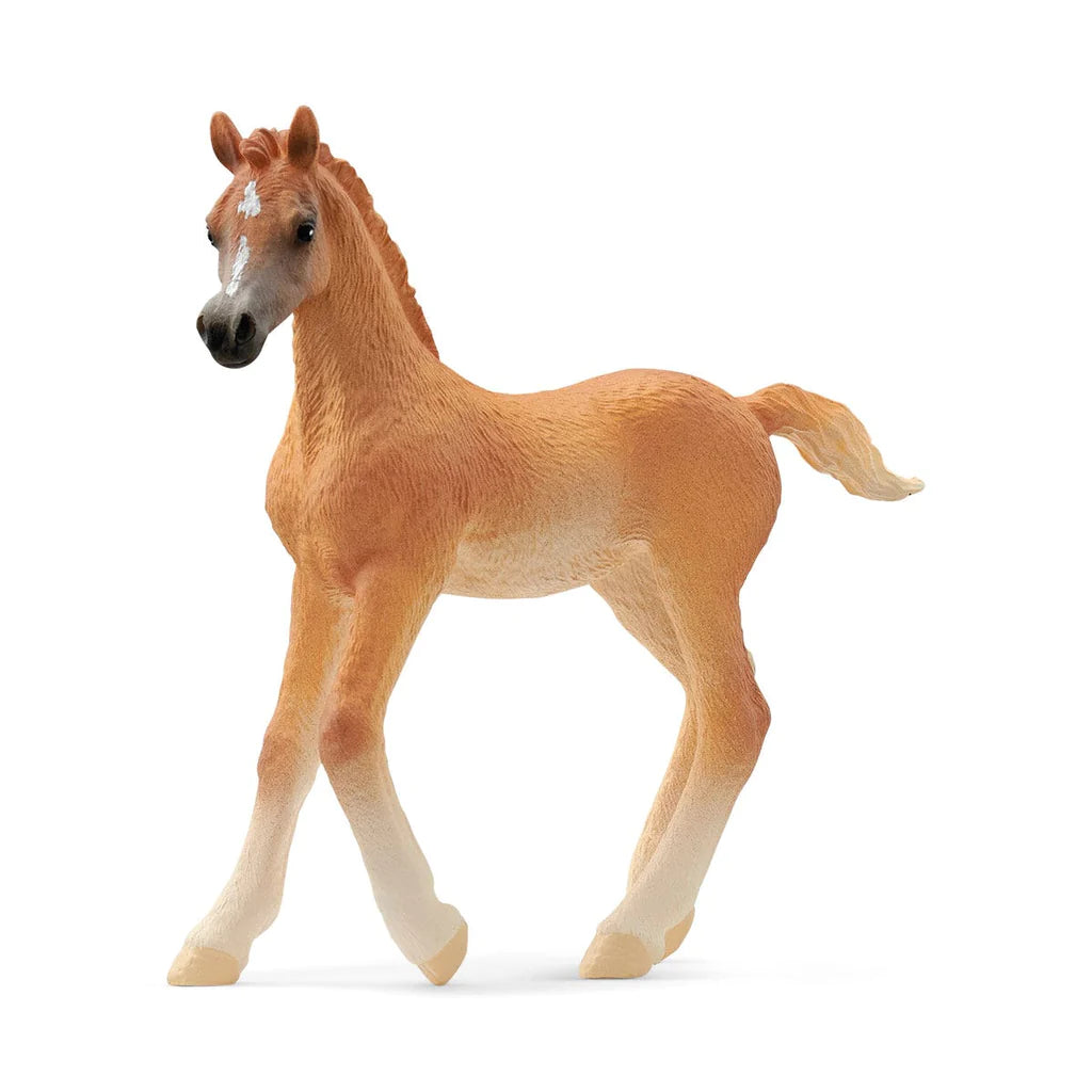 Schleich Horse Club Arabian Foal 13984