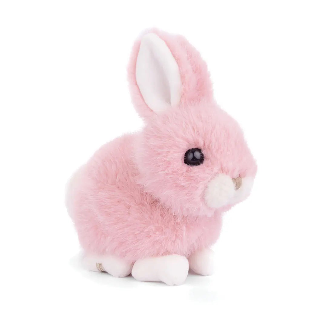 Bukowski Baby Bunny