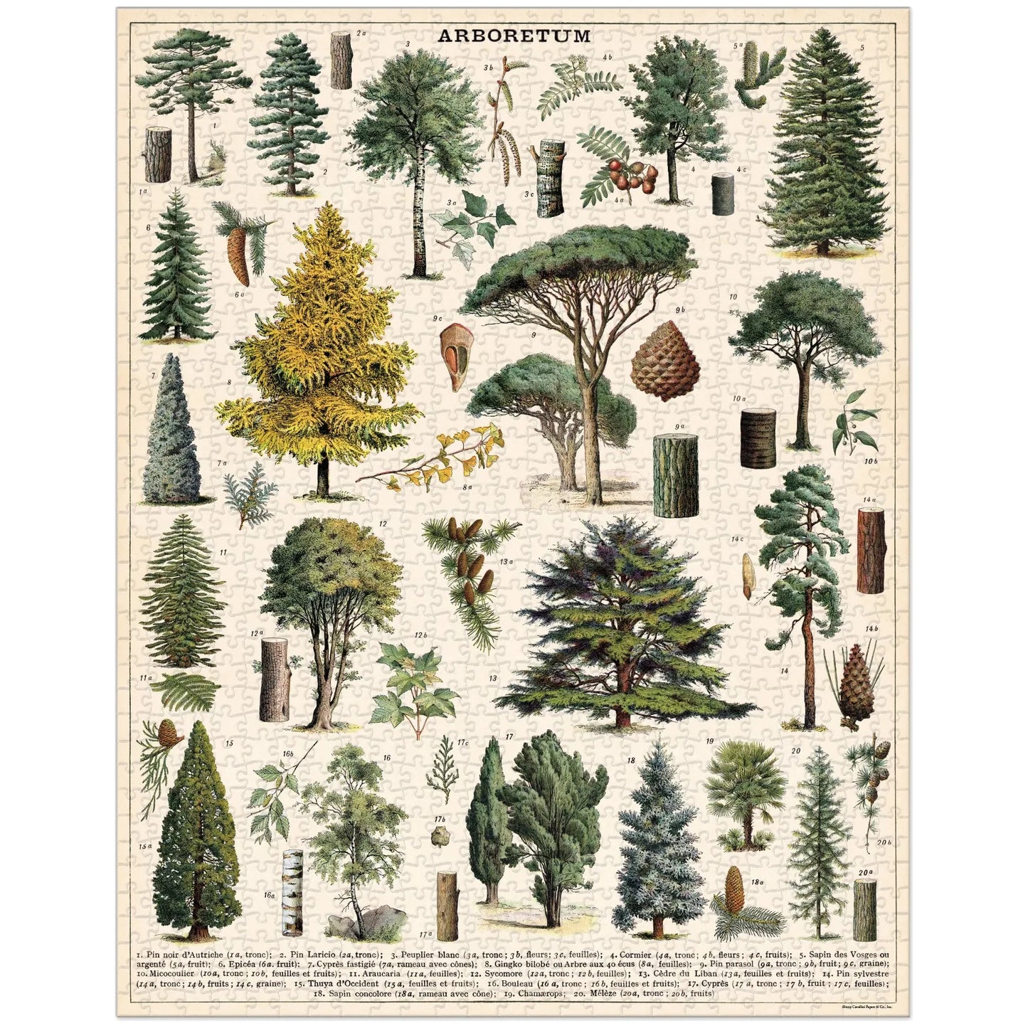 Cavallini & Co. - Arboretum 1000 Piece Puzzle