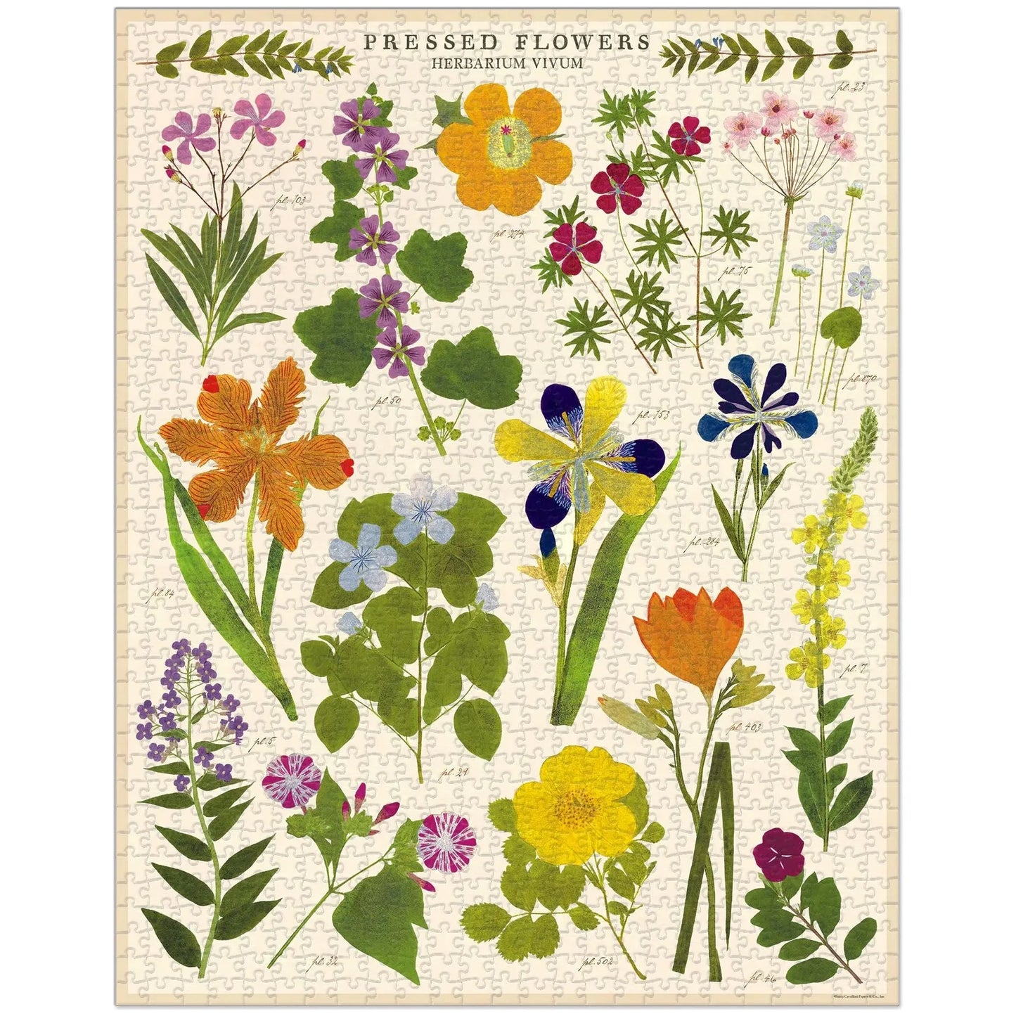 Cavallini & Co. - Pressed Flowers 1000 Piece Puzzle