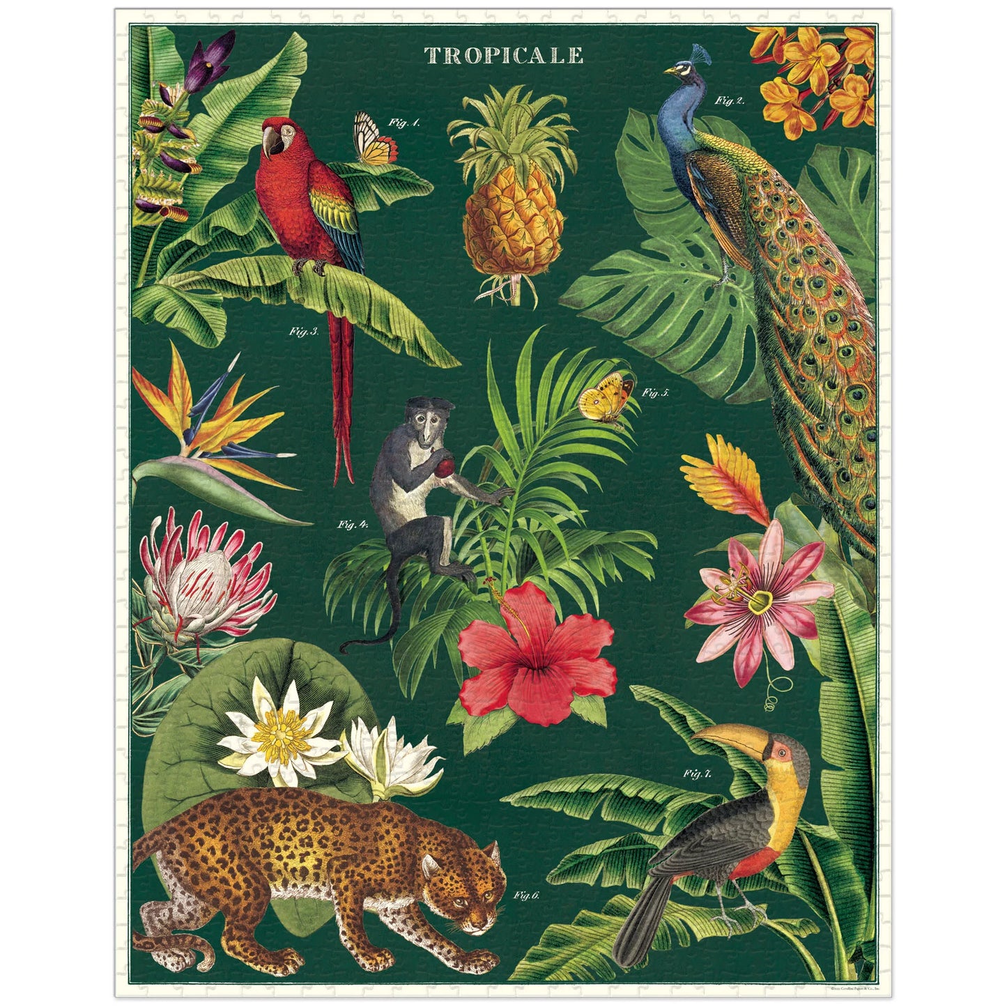 Cavallini & Co. - Tropicale 1000 Piece Puzzle