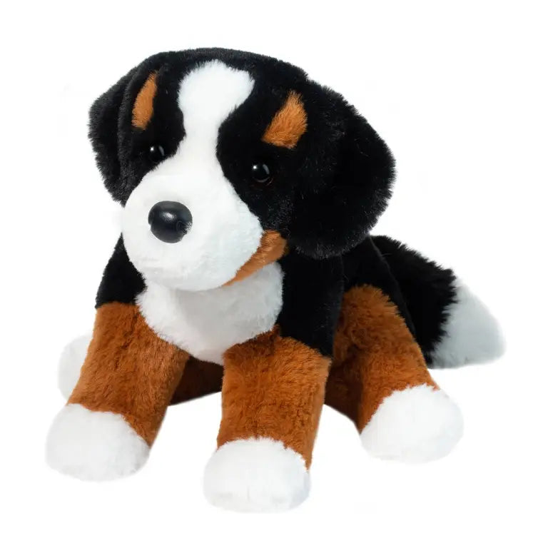 Douglas Bowie Bernese Mountain Dog