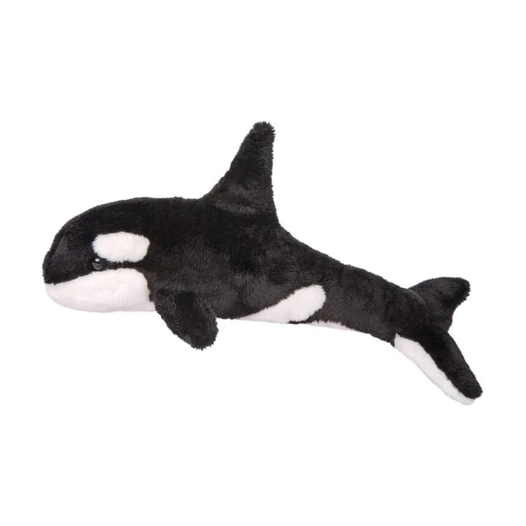 Douglas Spout Orca Whale