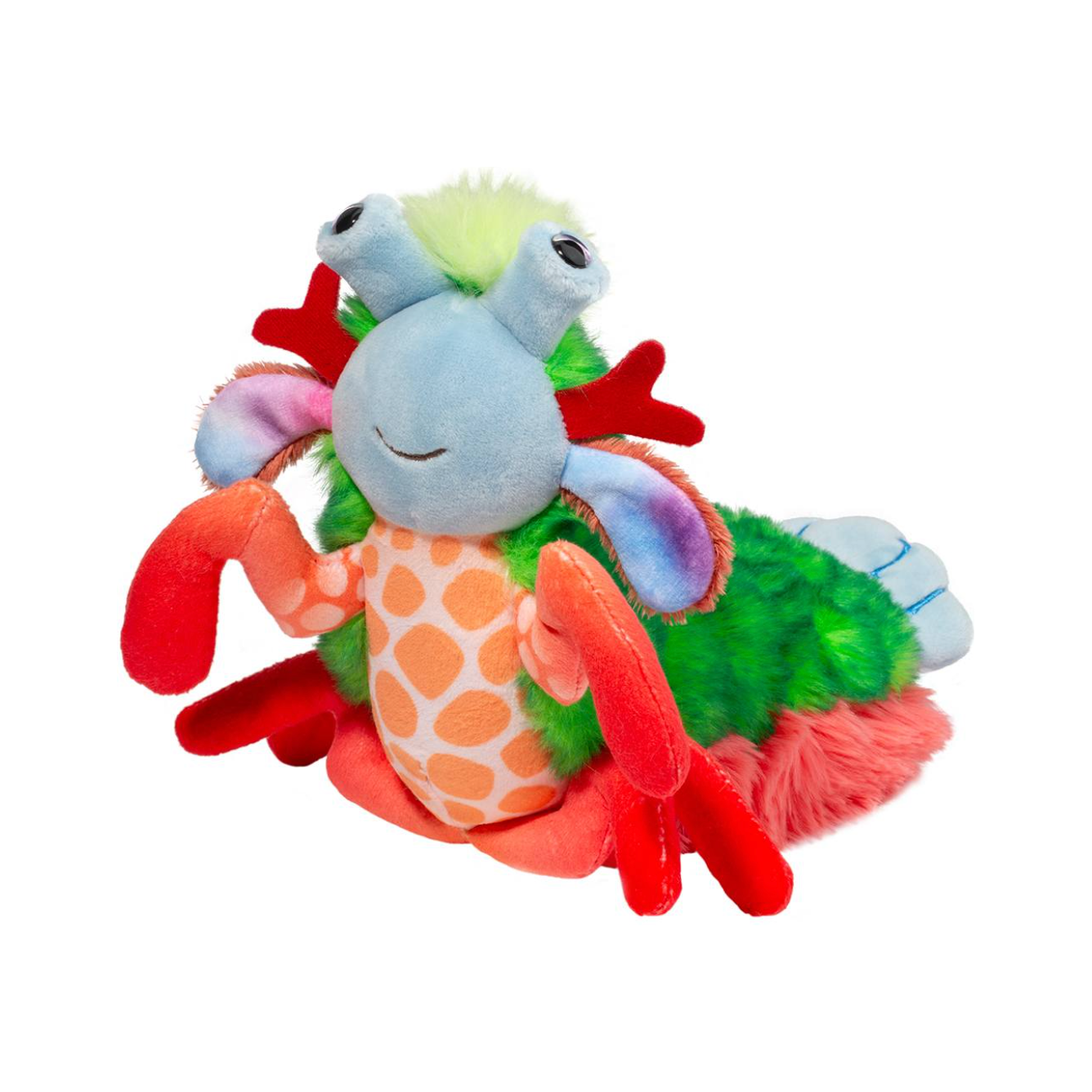 Douglas Punchie Peacock Mantis Shrimp - 10"