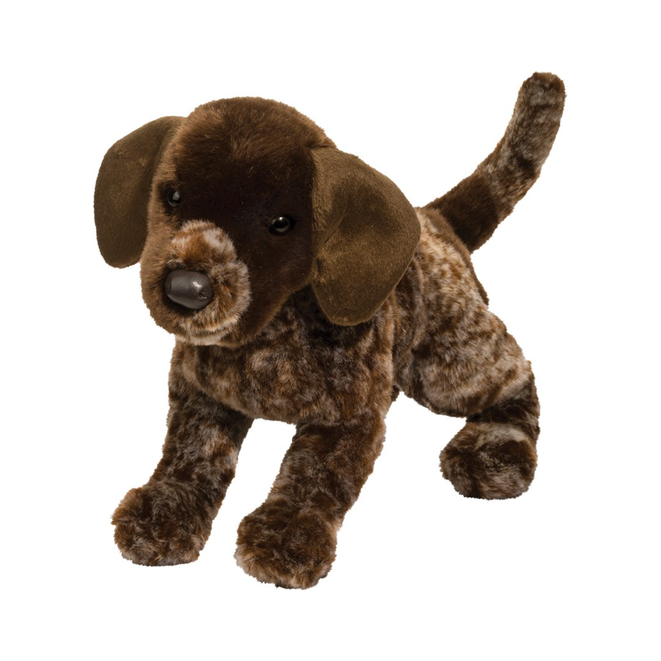 Douglas Wolfgang Pointer - 16"