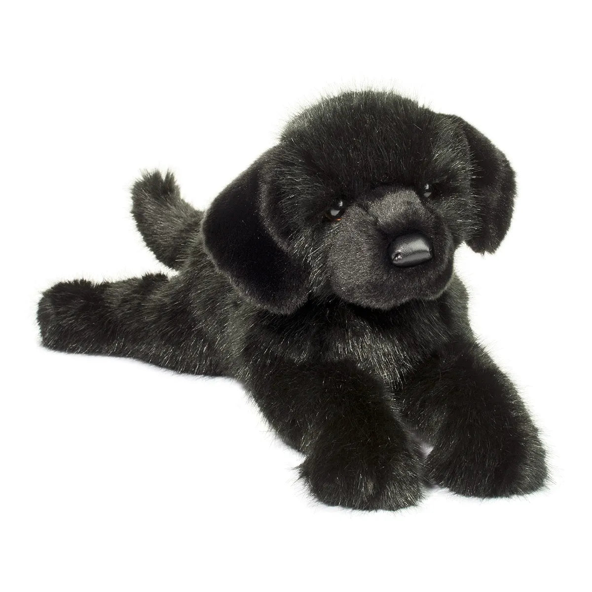 Douglas Jake DLux Black Lab