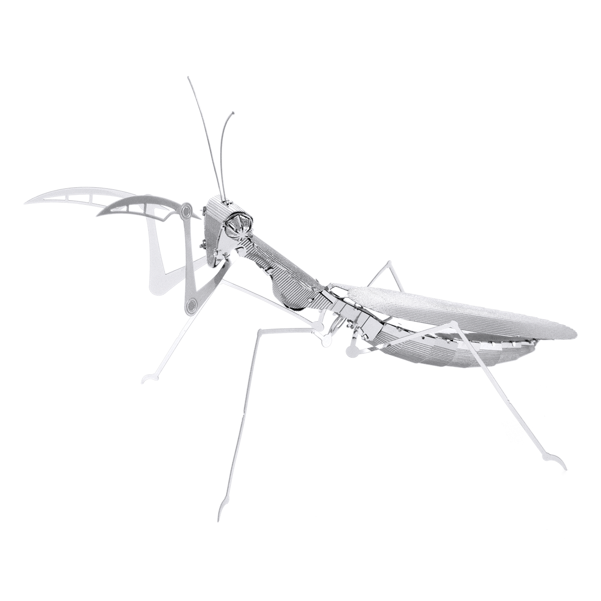 Metal Earth Praying Mantis Model Kit