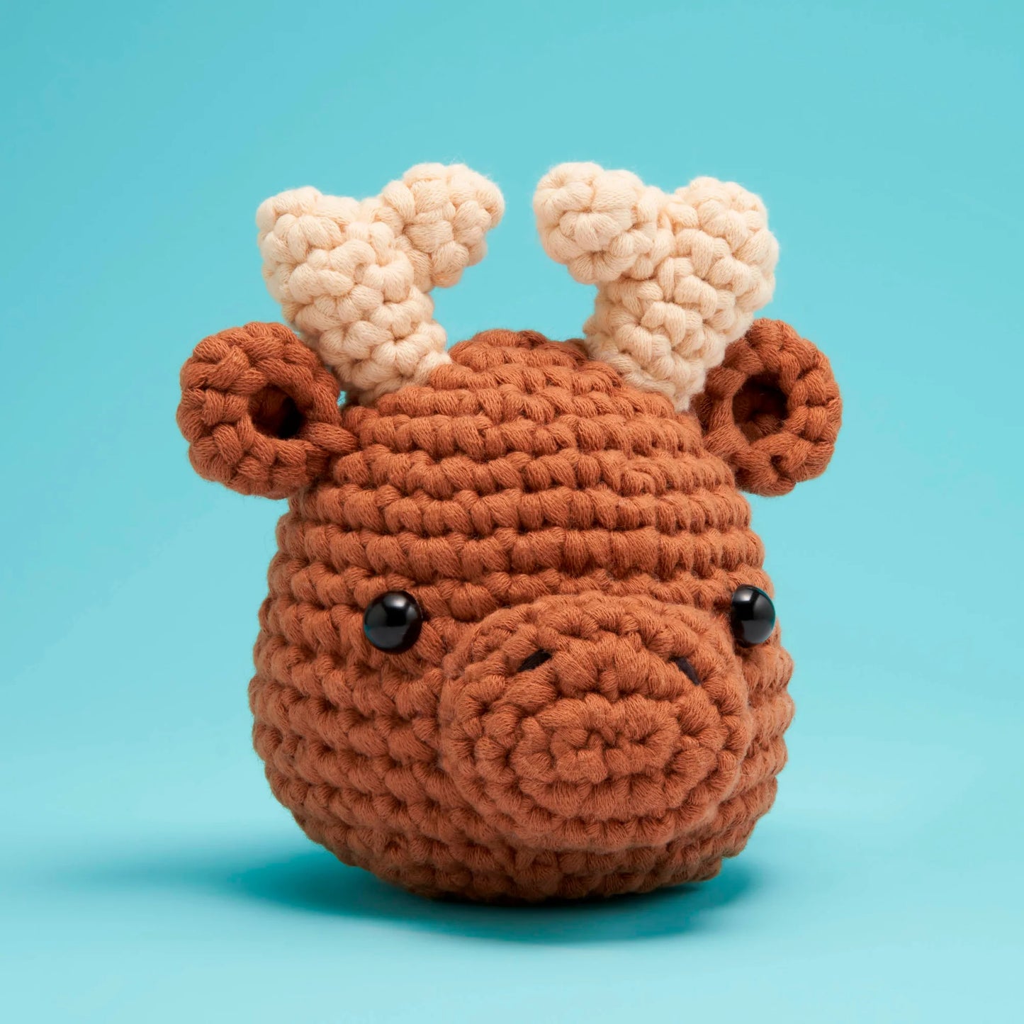The Woobles Learn To Crochet Kit - Roosevelt The Moose