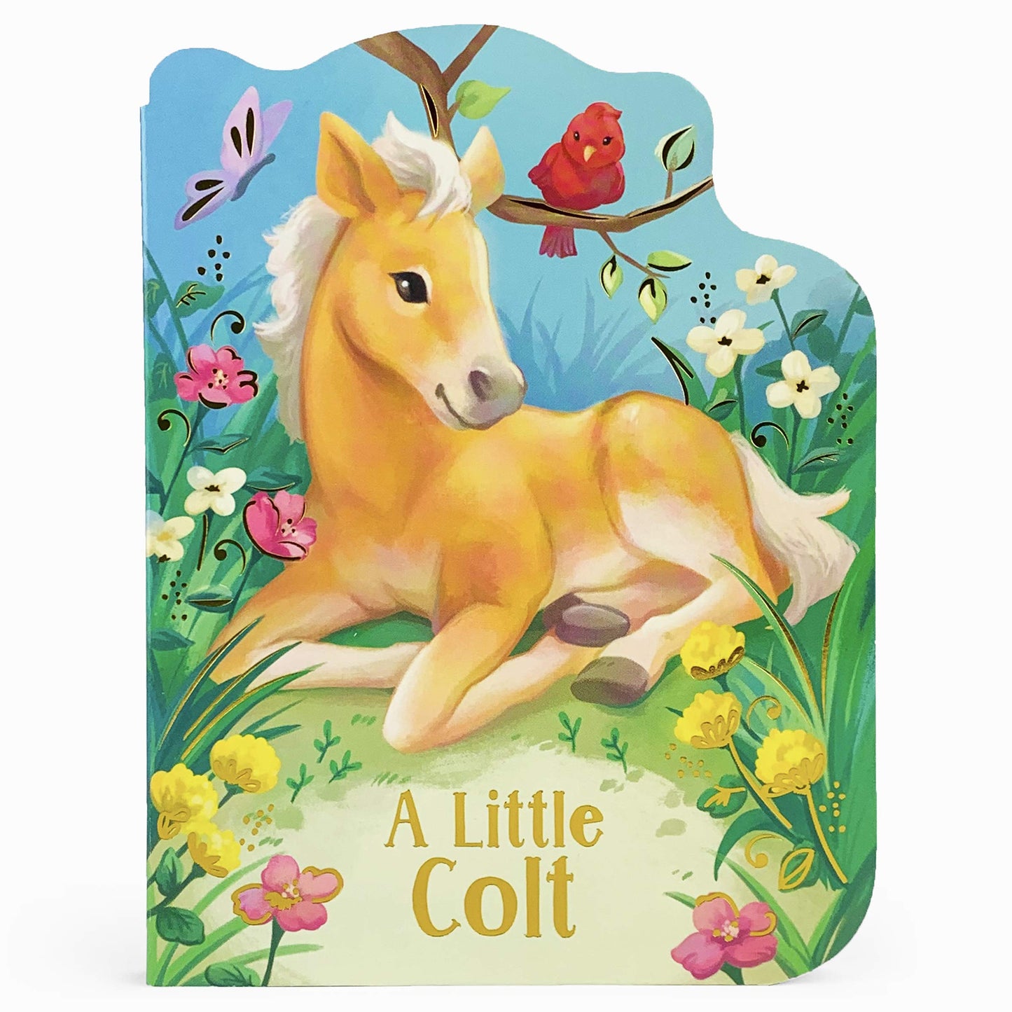 A Little Colt Book