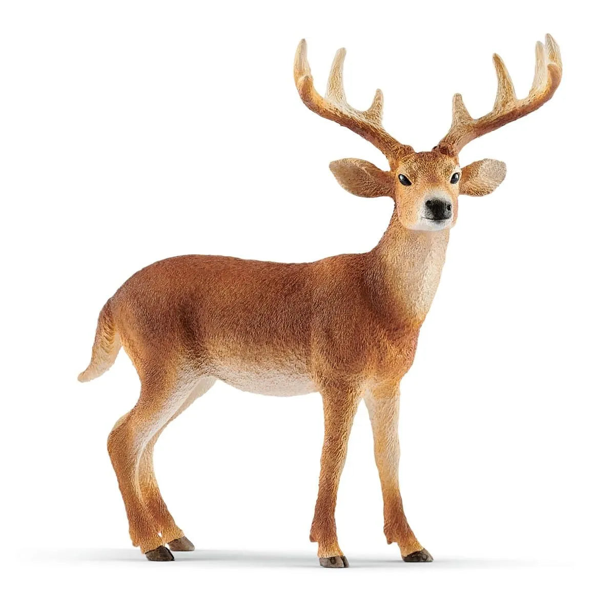 Schleich Wild Life White-Tail Buck 14818