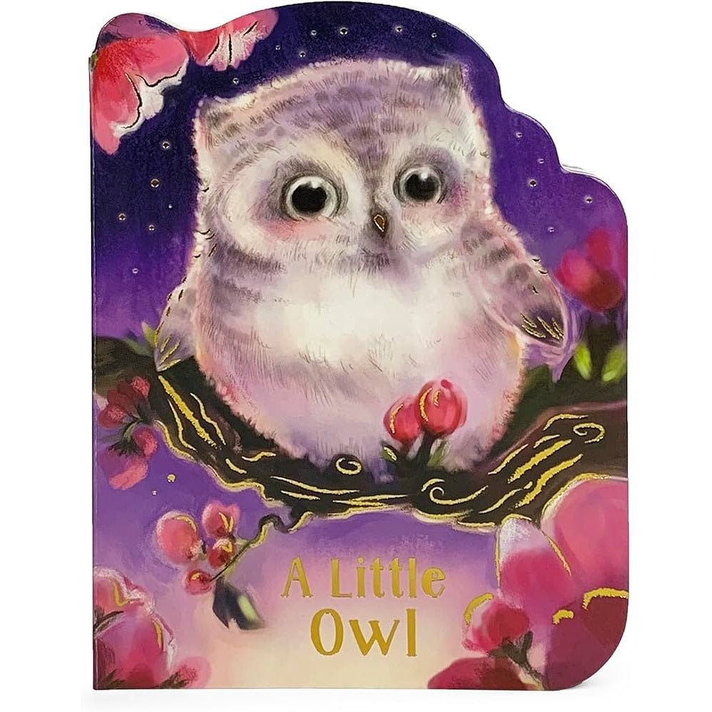 A Little Owl Book