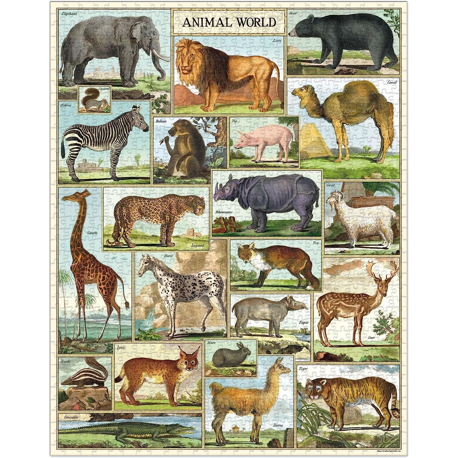 Cavallini & Co. - Animal World 1000 Piece Puzzle