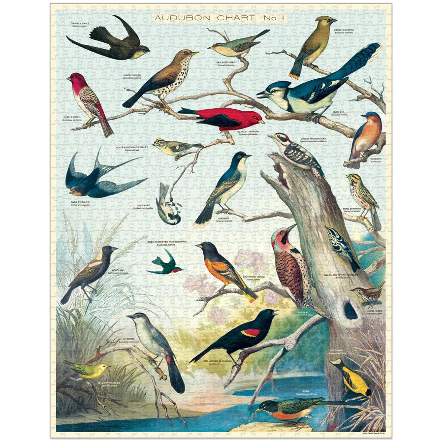 Cavallini & Co. - Audubon Birds 1000 Piece Puzzle