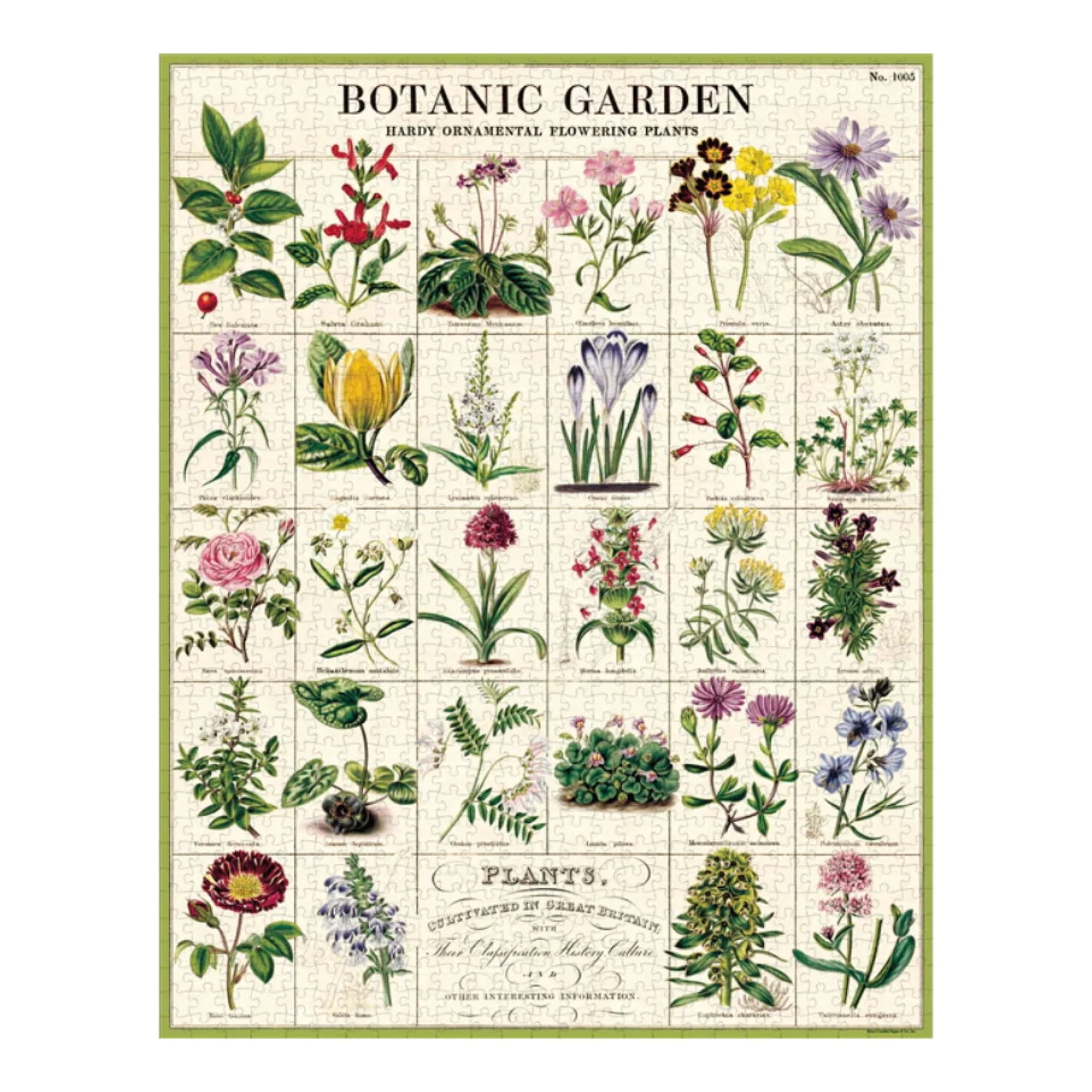 Cavallini & Co. - Botanic Garden 1000 Piece Puzzle