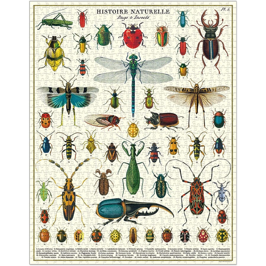 Cavallini & Co. - Bugs & Insects 1000 Piece Puzzle