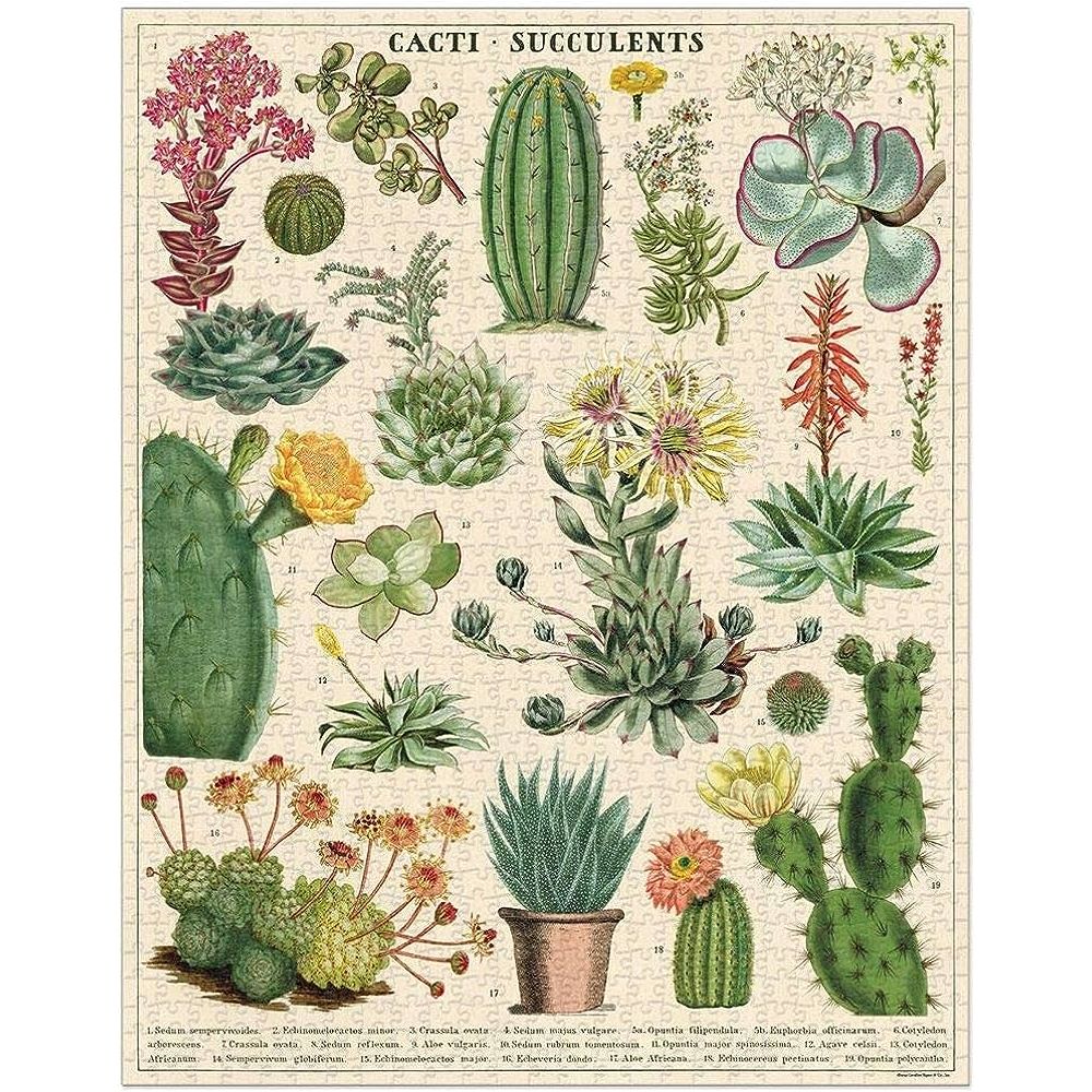 Cavallini & Co. - Cacti & Succulents 1000 Piece Puzzle