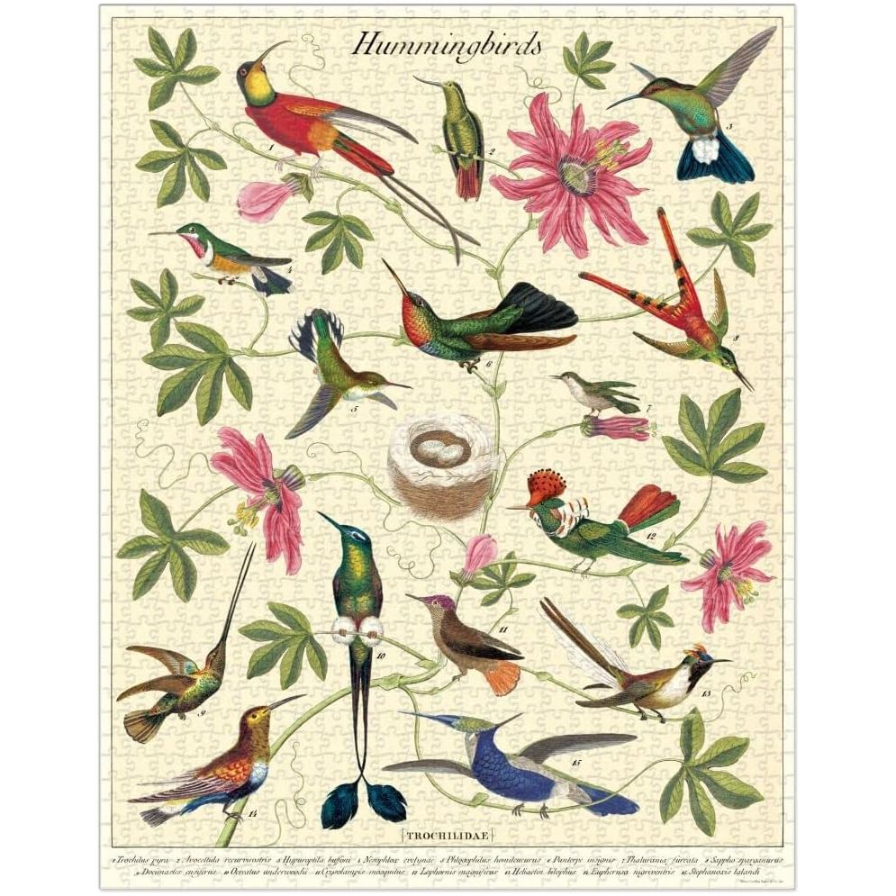 Cavallini & Co. - Hummingbirds 1000 Piece Puzzle