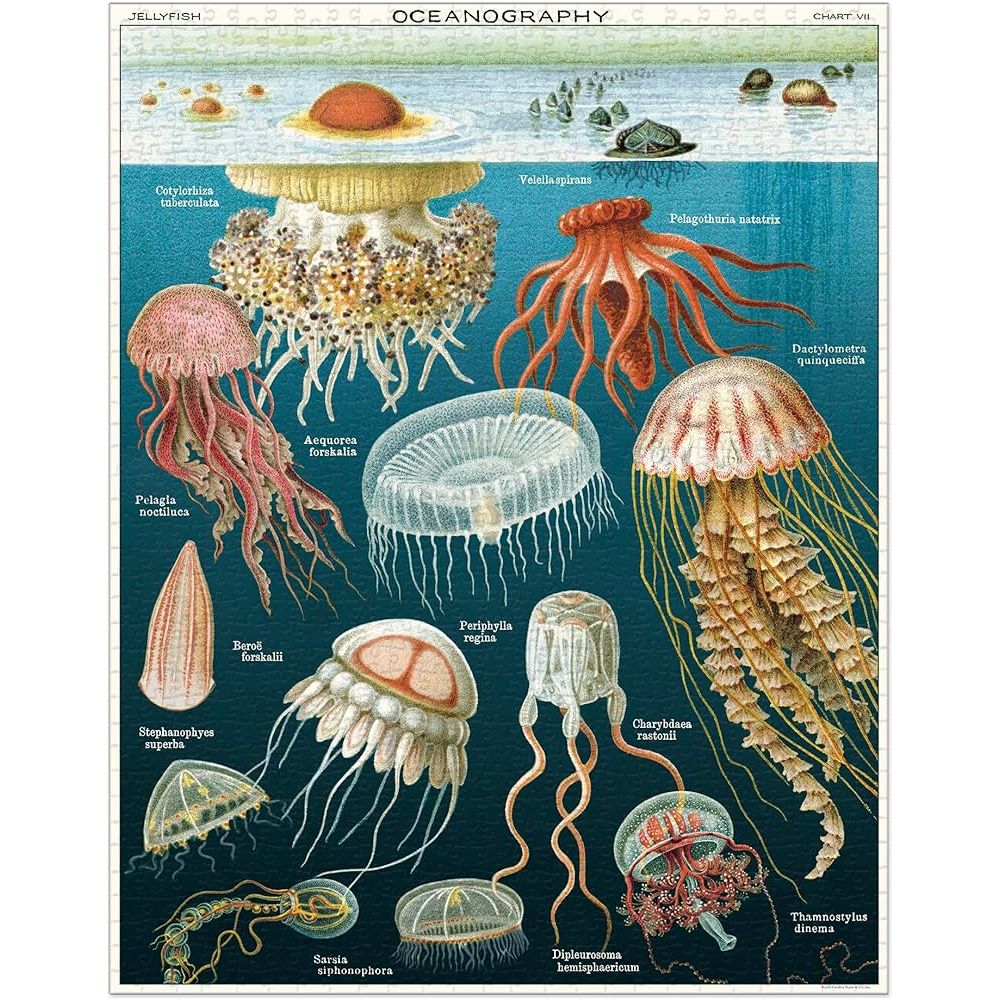 Cavallini & Co. - Jellyfish 1000 Piece Puzzle