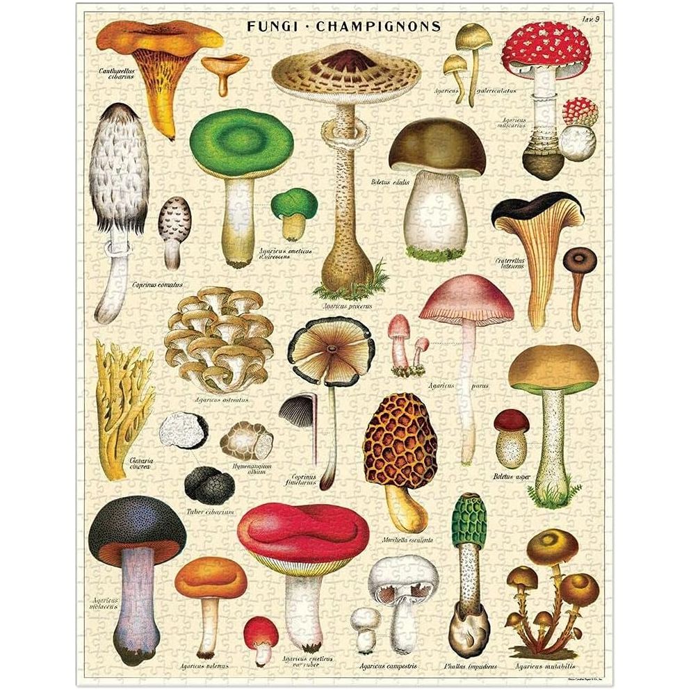 Cavallini & Co. - Mushrooms 1000 Piece Puzzle