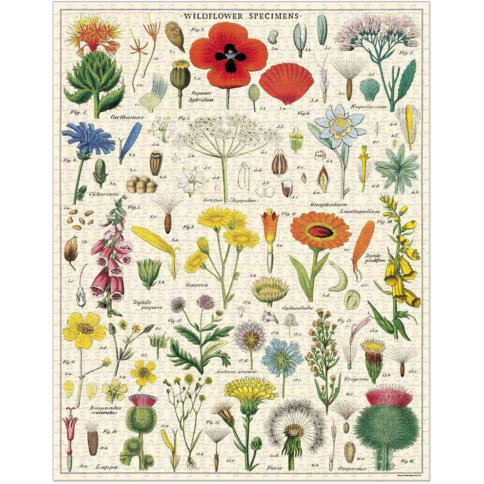 Cavallini & Co. - Wildflowers 1000 Piece Puzzle