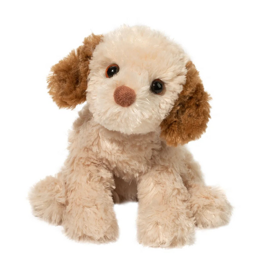 Douglas Biscuit Cavapoo - 8"