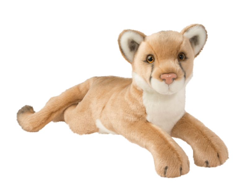 Douglas Kelso Mountain Lion