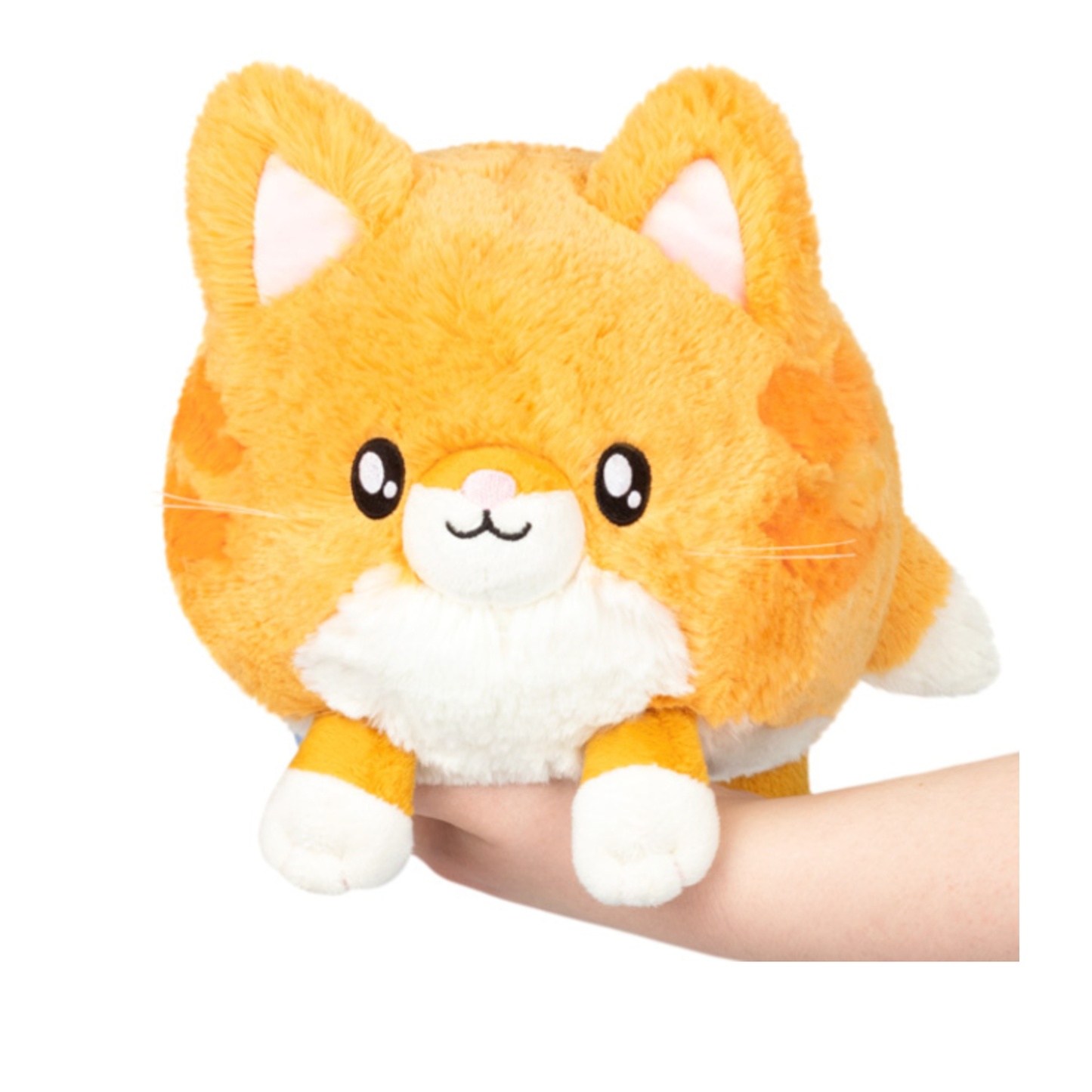 Squishable Mini Kitty