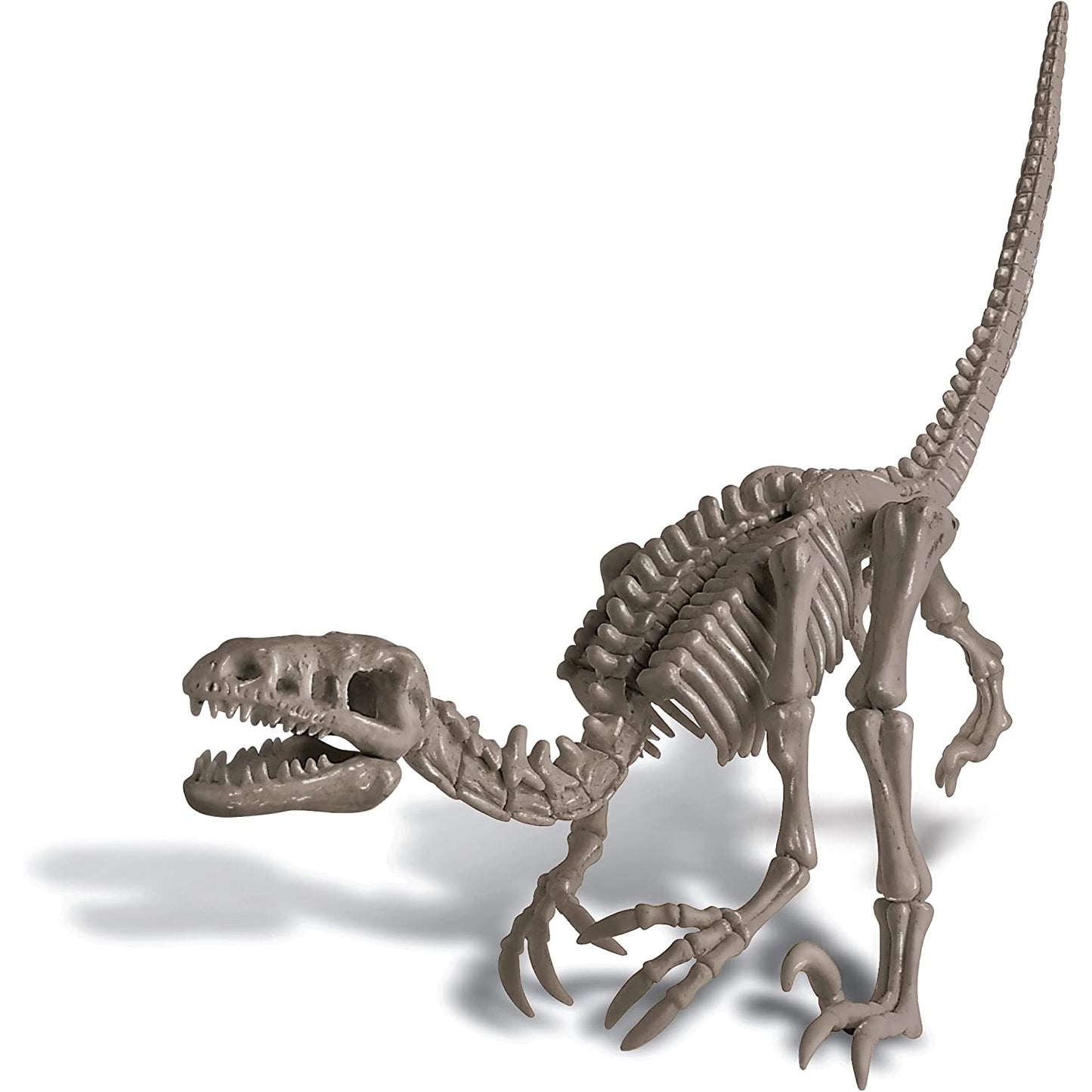 KidzLabs Dig a Velociraptor