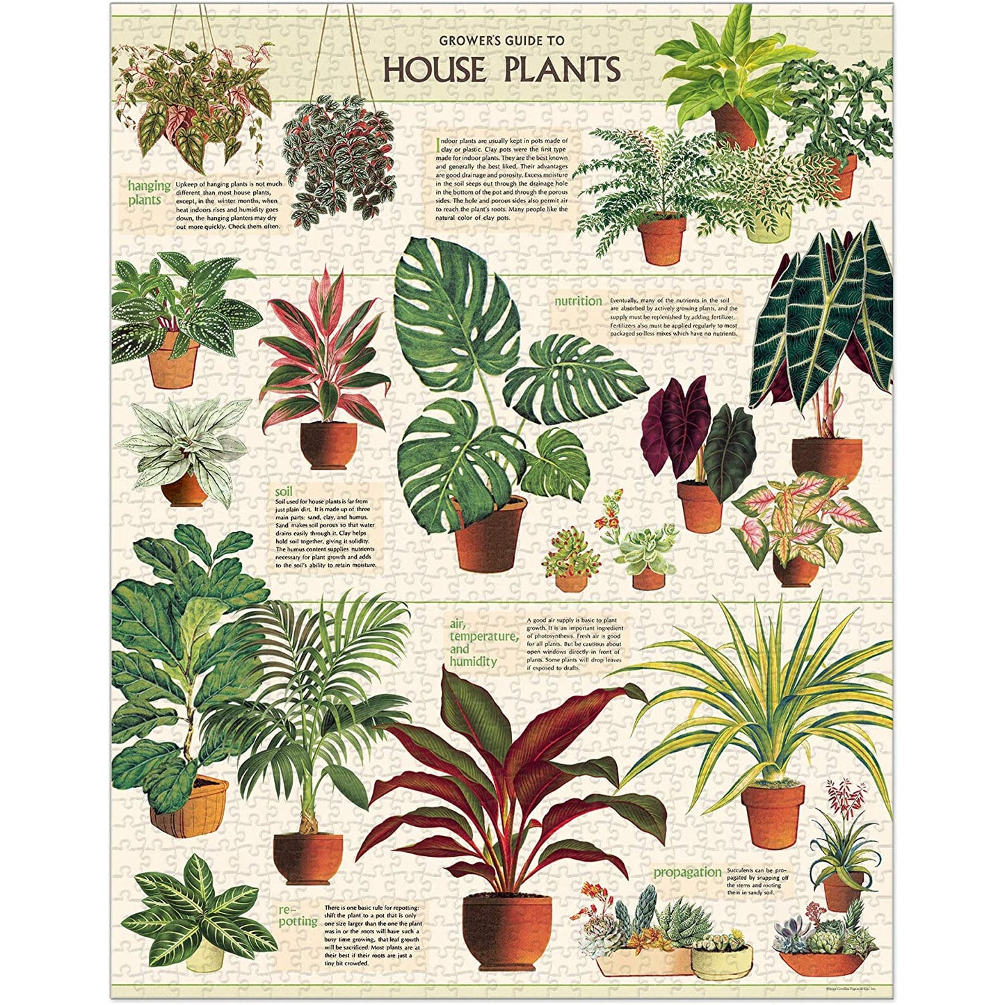 Cavallini & Co. - House Plants 1000 Piece Puzzle