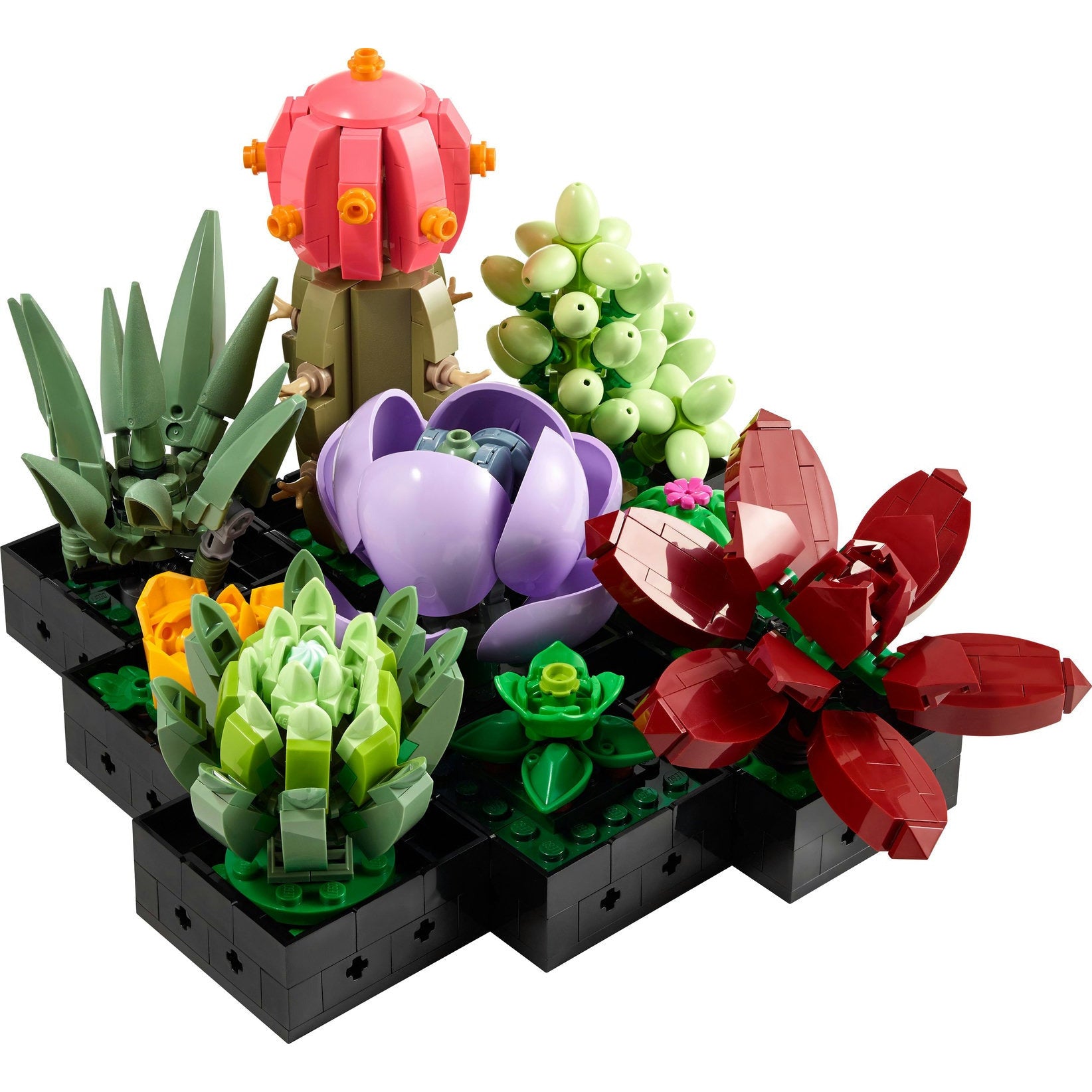 Lego Botanical Collection Succulents