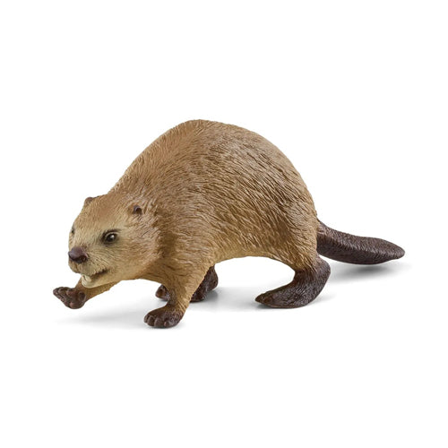 Schleich Wild Life Beaver 14855