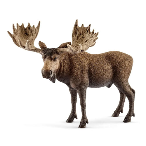 Schleich Wild Life Moose Bull 14781